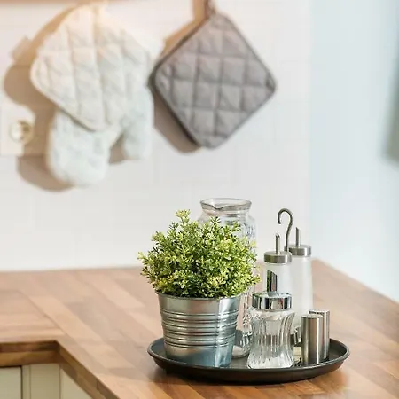 Casa de Férias Ferienhaus Torrevieja Torrevieja