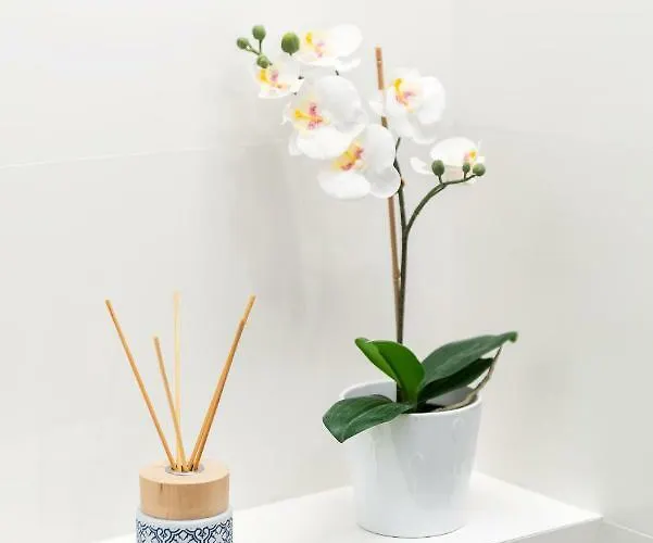 Ferienhaus Torrevieja Casa vacanze